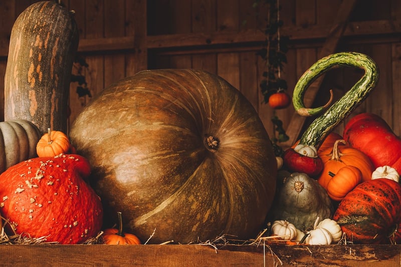 Harvest Magic
