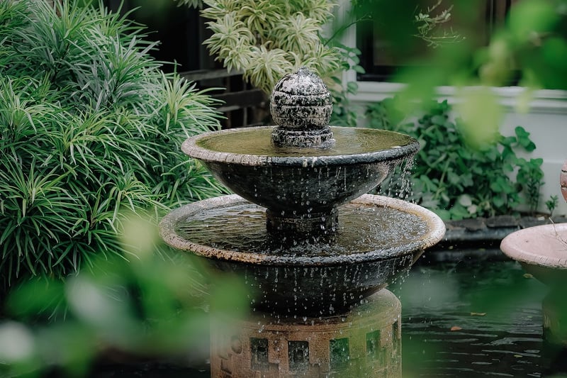 Playful Water Features