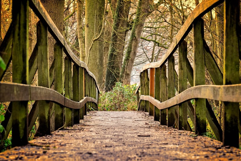 Enchanted Garden Pathway