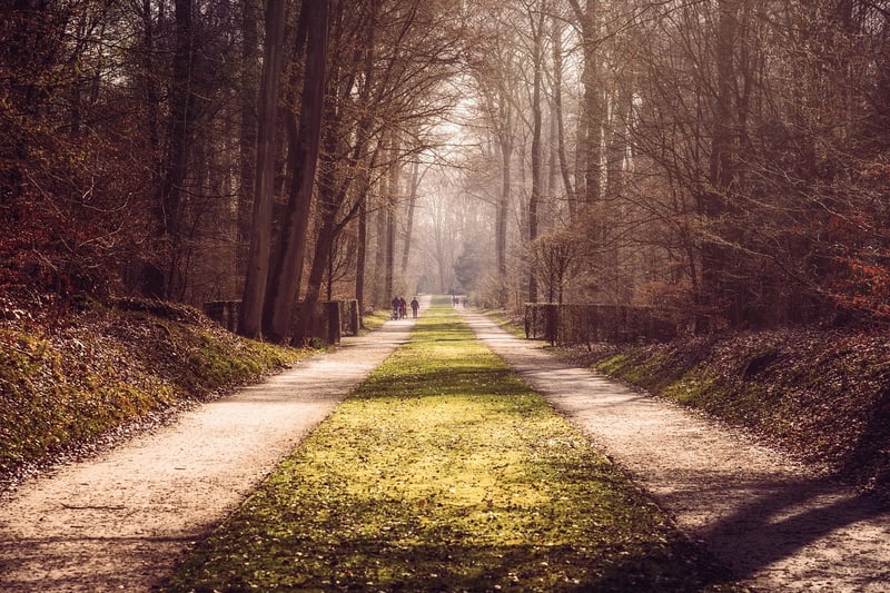 Enchanting Pathways